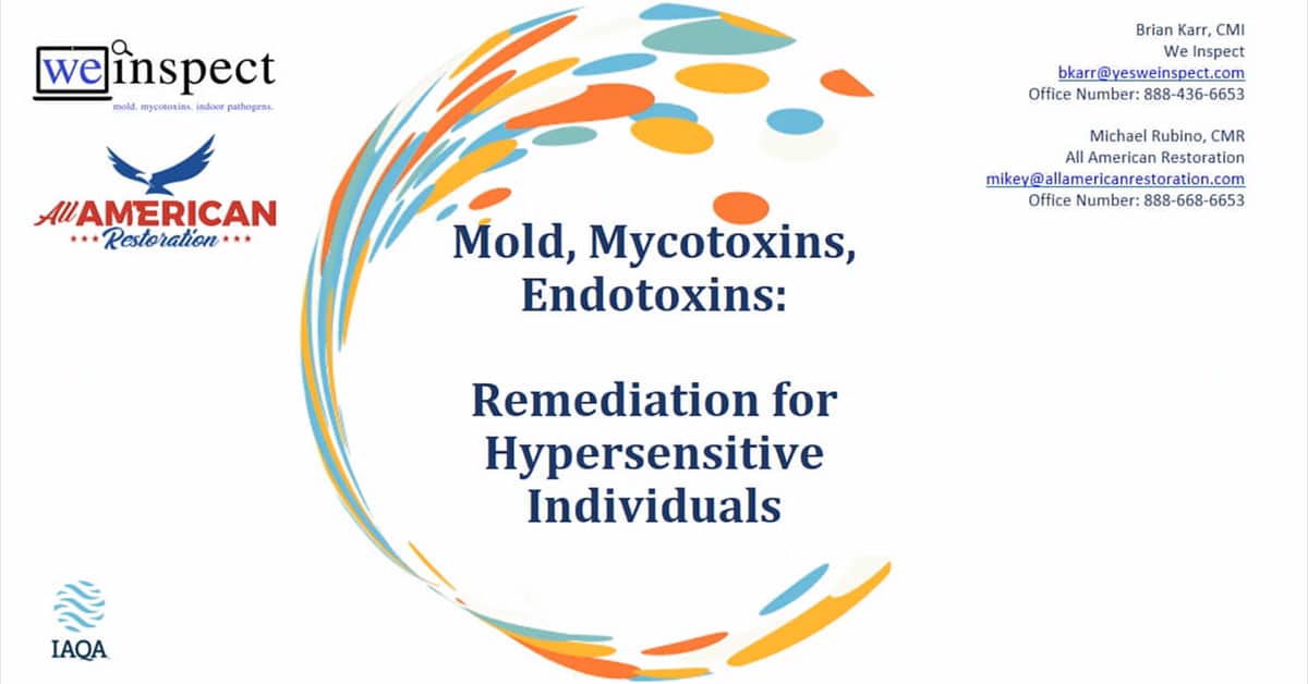 mold remediation experts