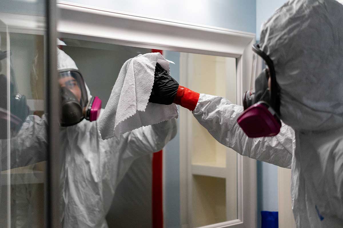 mold remediation education