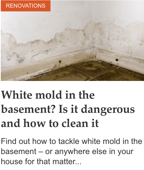 The Best Way To Keep Mold Out Of Your Bathroom mindbodygreen