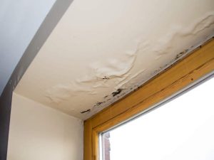 water damage from gutters