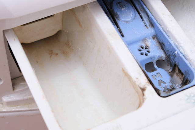mold in a washing machine