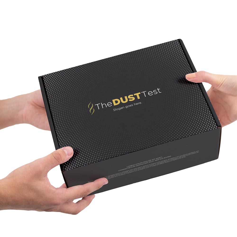 The Dust Test The Dust Test