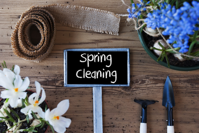 Prevent Mold in the Spring