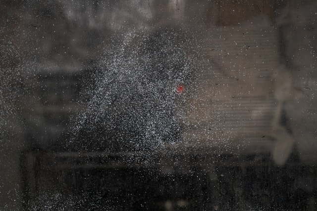 michael-moloney-JFi75VQ9Rsk-unsplash