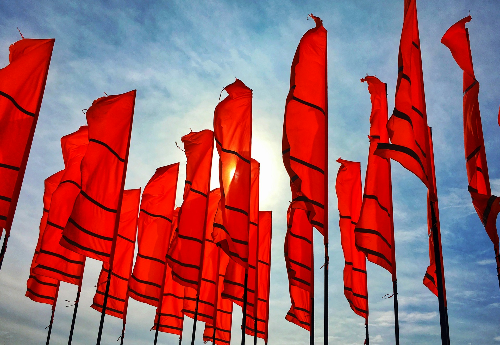Mold Remediation Red Flags