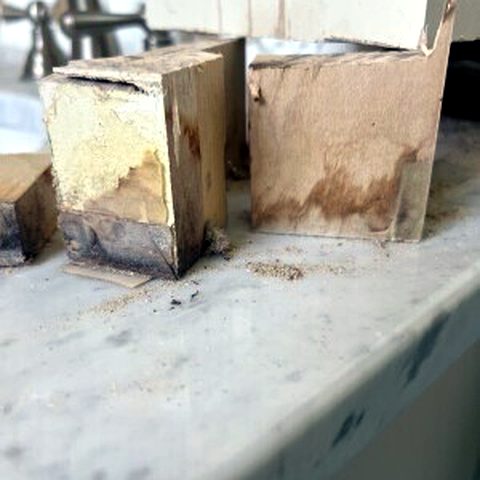 Mold found at the source