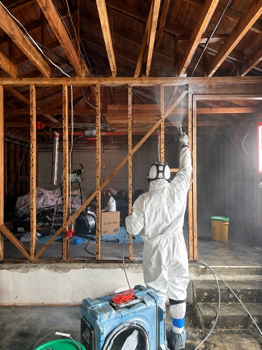 HomeCleanse remediation spray treatment